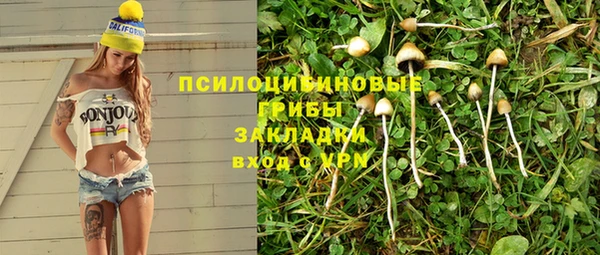прущий лед Алексеевка