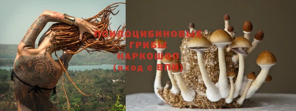 метадон Арсеньев