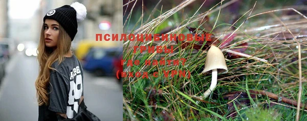 ГАЛЛЮЦИНОГЕННЫЕ ГРИБЫ Нея