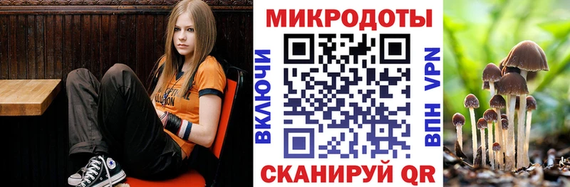 Псилоцибиновые грибы GOLDEN TEACHER  Аркадак 